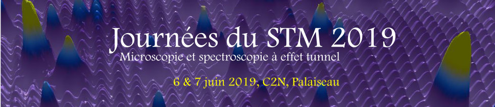 Journées du STM, 6 et 7 juin 2019