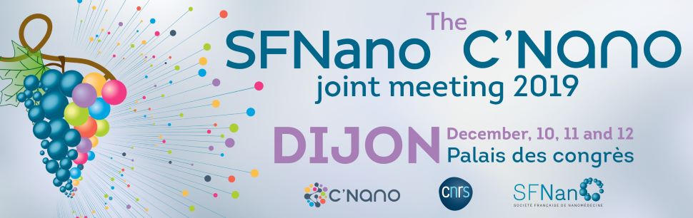 SFNano – C’Nano joint meeting 2019, 10-12 décembre