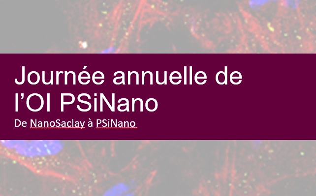Du LabEx NanoSaclay à l'Institut des nanosciences PSiNano