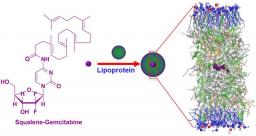 Des nanoparticules qui utilisent les lipoprotéines de l'organisme comme vecteurs indirects de médicaments