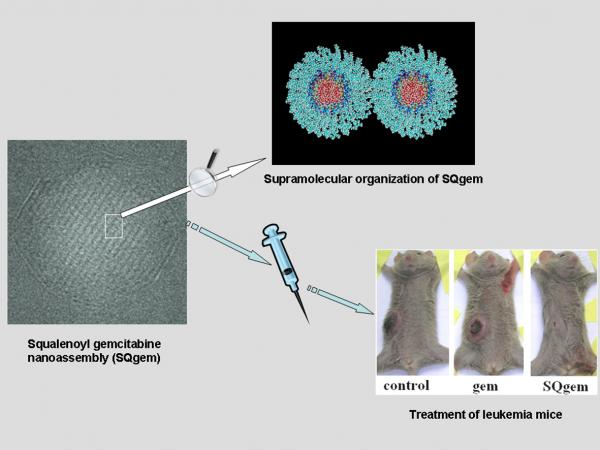 • Flagship phase 1 : Nanomédicaments pour le traitement de maladies sévères / Nano-drugs for the treatment of severe diseases