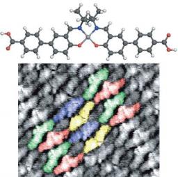Ciselage bidimensionnel de nanoarchitectures moléculaires